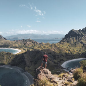 Komodo Dragons & East Timor